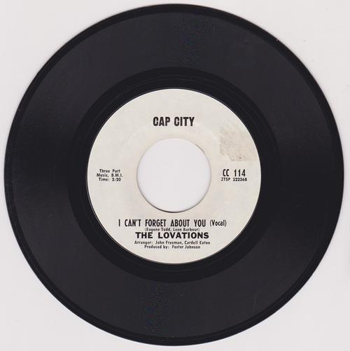 I Can't Forget About You/ Same: Instrumental
