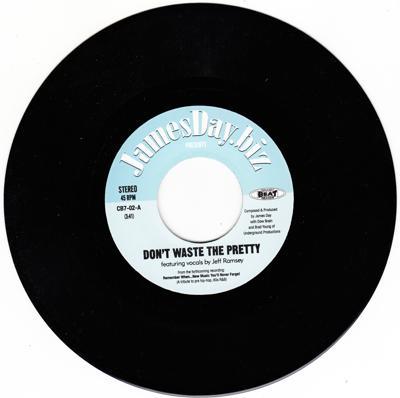 Image for Don't Waste The Pretty/ Remember When