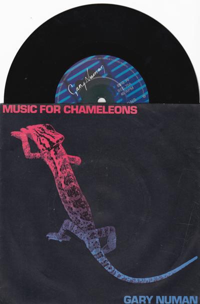 Music For Chameleons/ Noise Noise