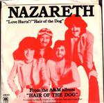 Image for Love Hurts/ Hair Of The Dog