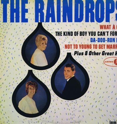 The Raindrops/ 1985 Usa Press