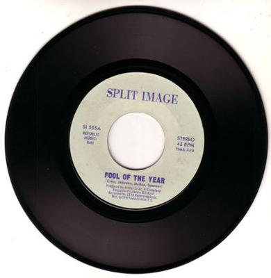 Image for Fool Of The Year/ Same: Instrumental