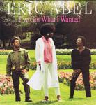 Image for I've Got What I Wanted/ 70s Jamaican Soul Indie