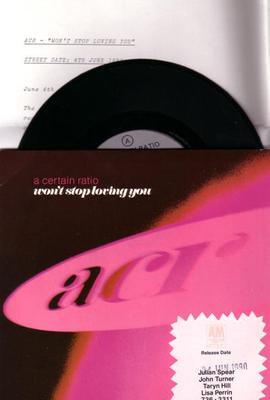 Image for Won't Stop Loving You/ Bernard Sumner+norman Cook Mix