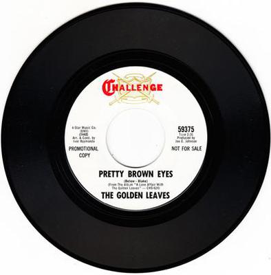 Image for Pretty Brown Eyes/ The Misty Moonlight